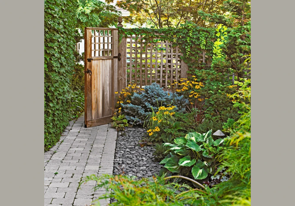 Corner Trellis Setup for Small Space Privacy Boost