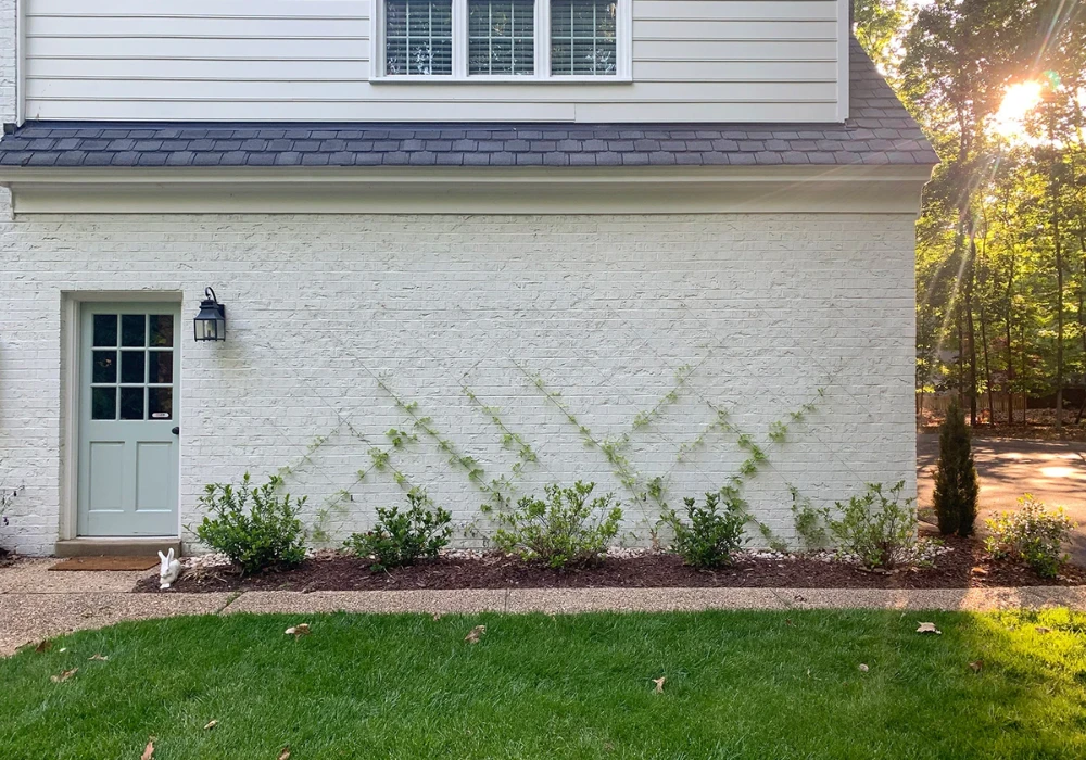 Corner Trellis for Front House Edges