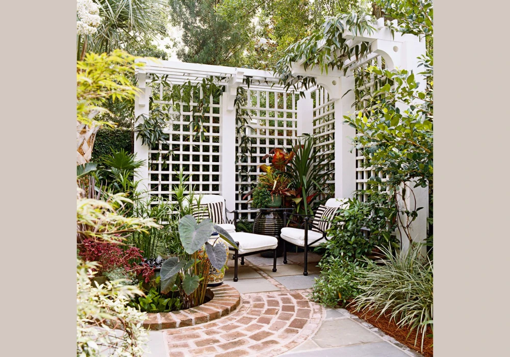 Creative Trellis Plants Ideas for Decorative Garden Design