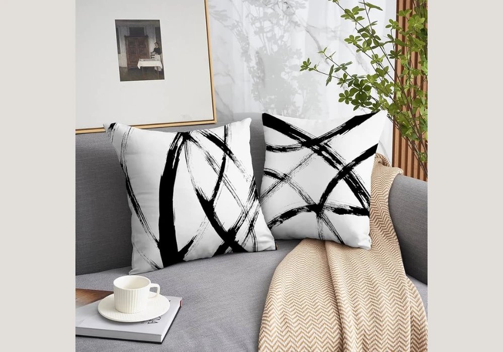 Cute Throw Pillow Ideas with Monochrome Black and White Style