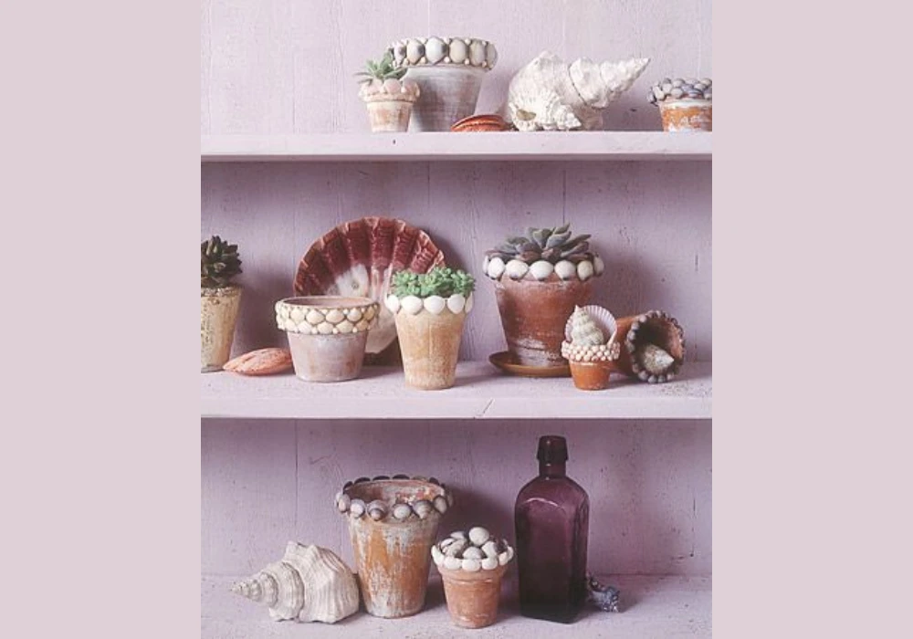 DIY Seashell Craft Decor for Coastal Summer Theme