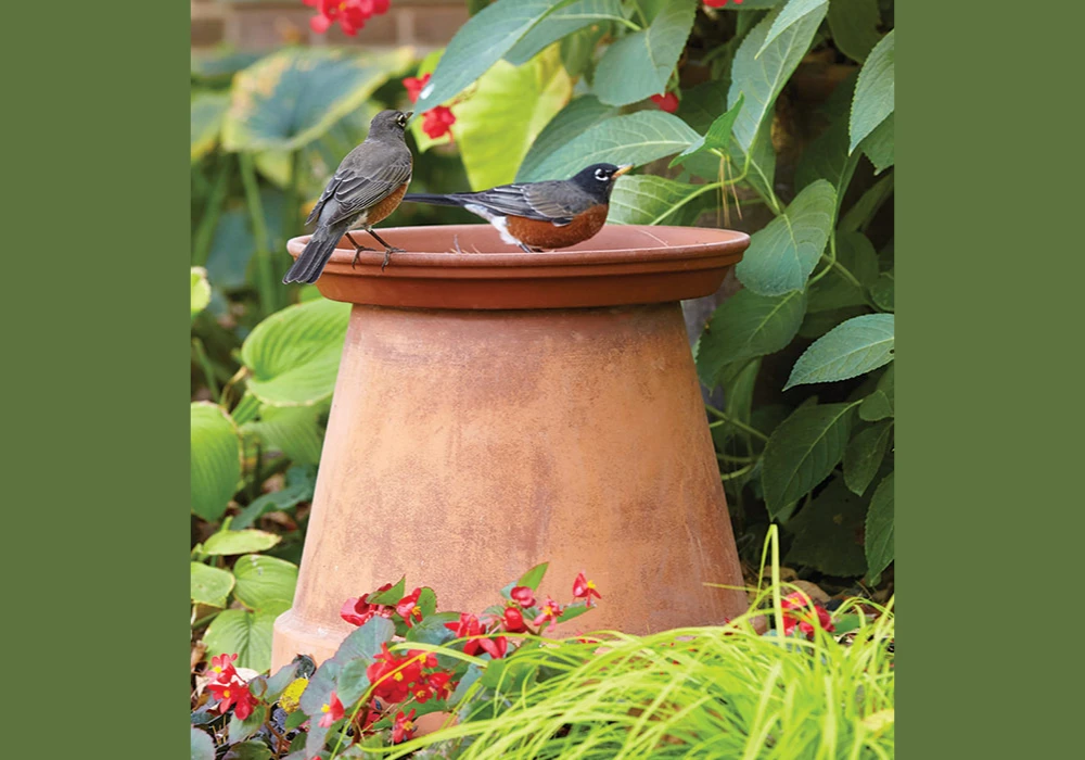 DIY Terracotta Pot Bird Bath