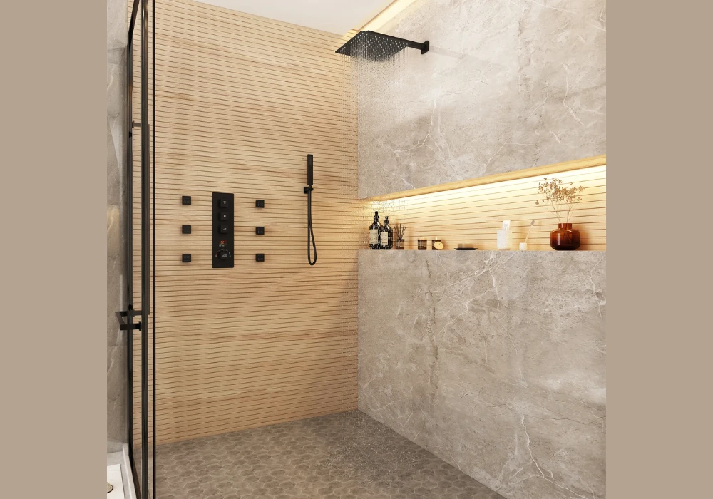 Dual Shower System for Better Functionality