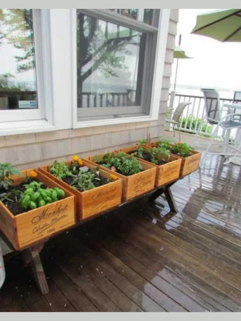Edible Herb Container Gardens