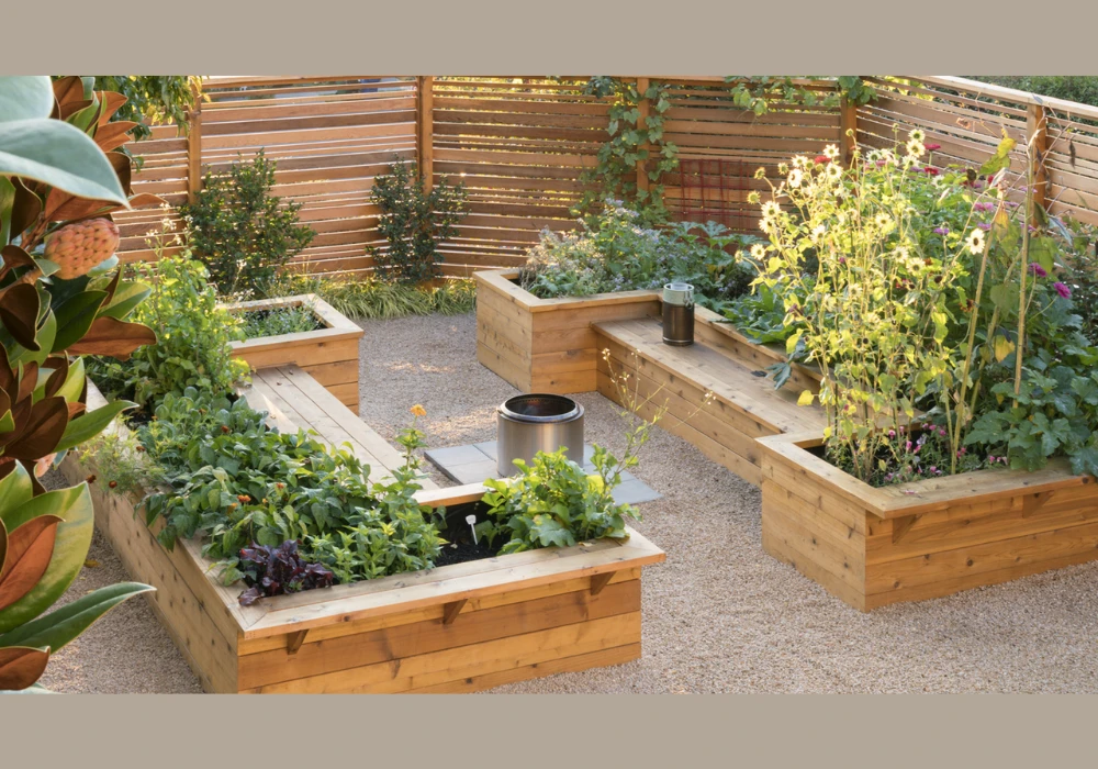 Edible Trellis Plants Ideas for Home Gardening Use