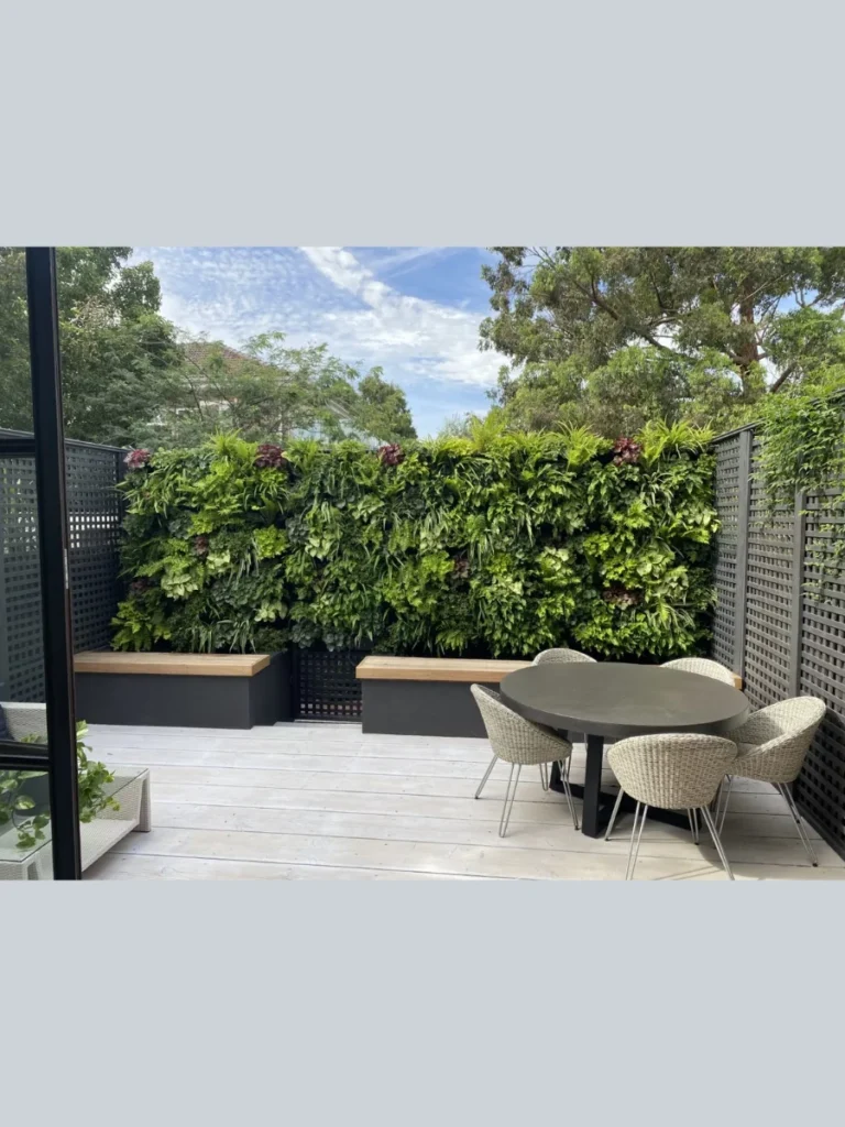 Elegant English Ivy for Vertical Interest