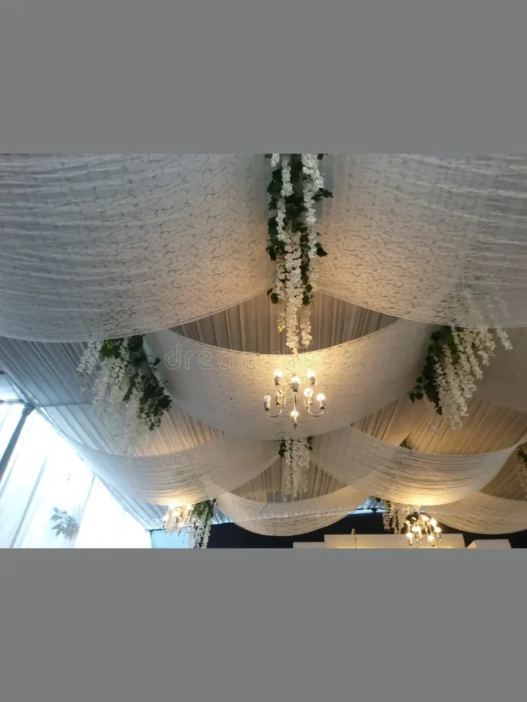 Elegant Fabric Drape And Canopy Designs