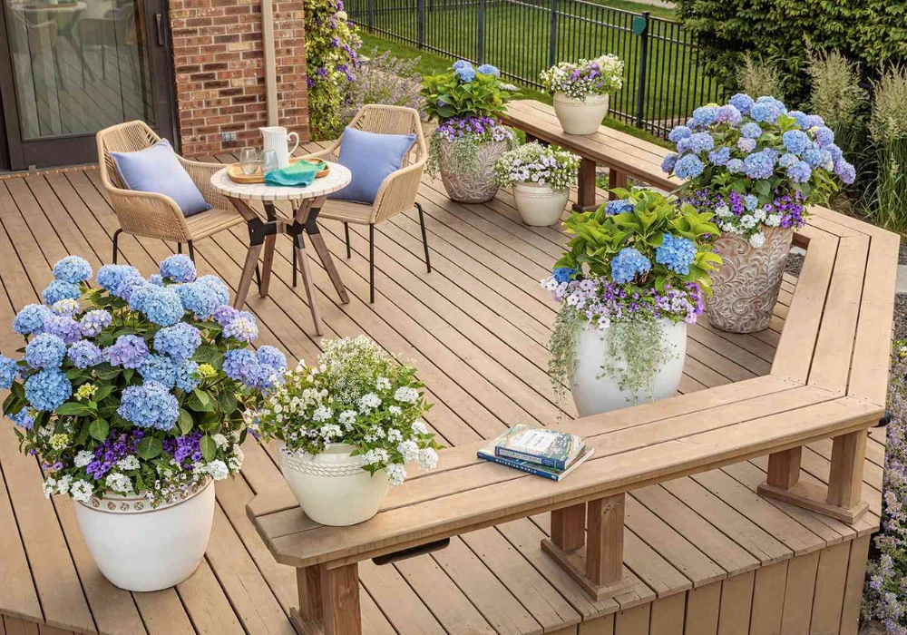 Floor planter arrangement, balcony planting ideas