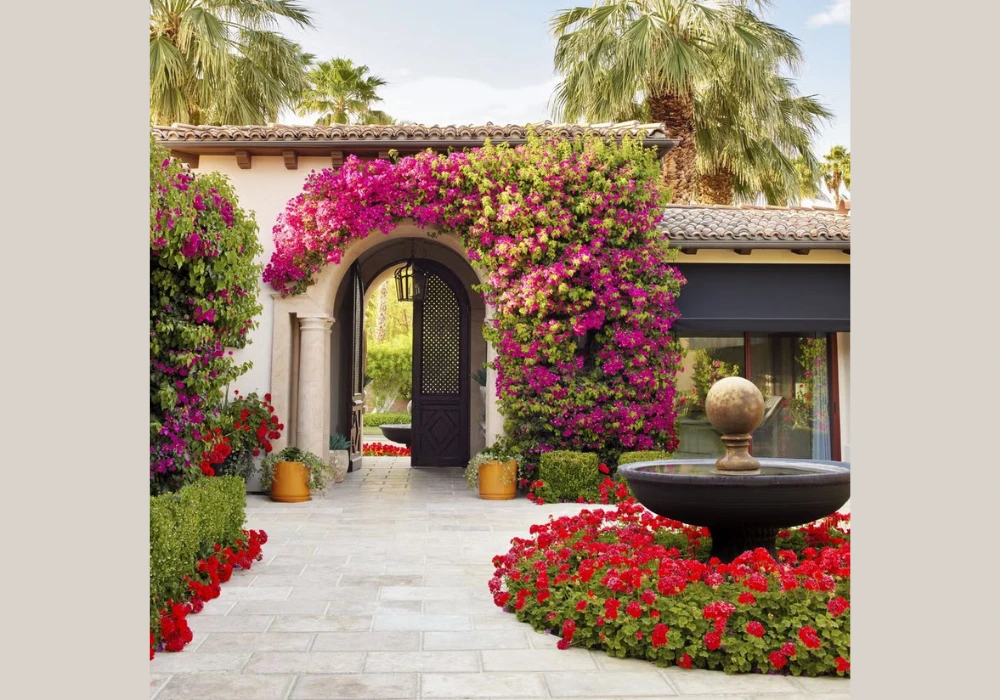 Flowering Trellis Plants Ideas for Colorful Garden Walls