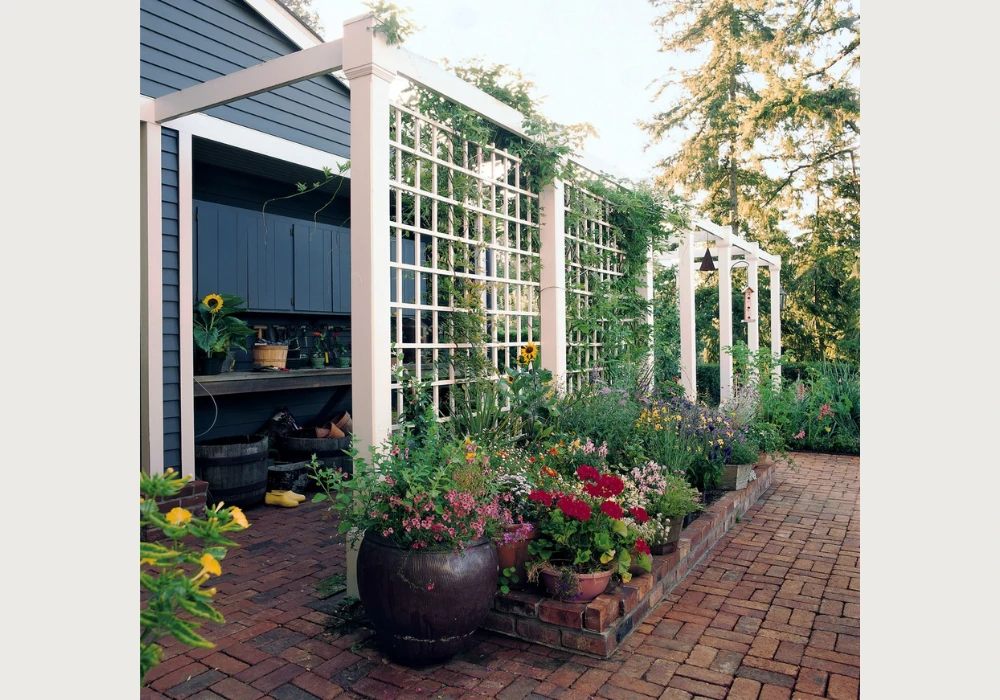 Freestanding Trellis Near Entrance