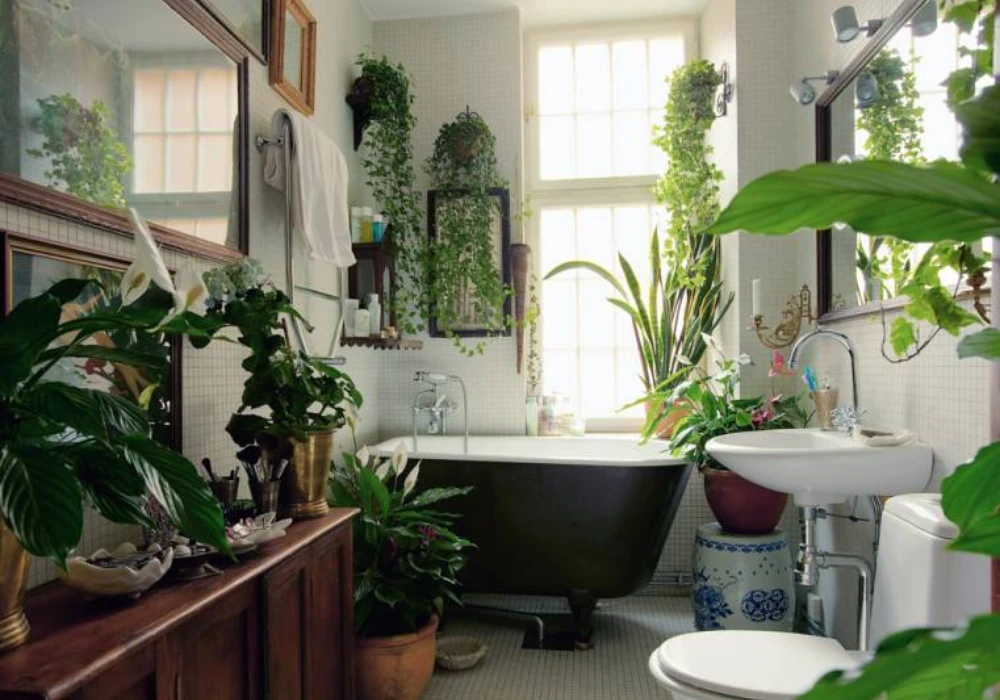 Green Plant Bathroom Ideas for a Natural Feel