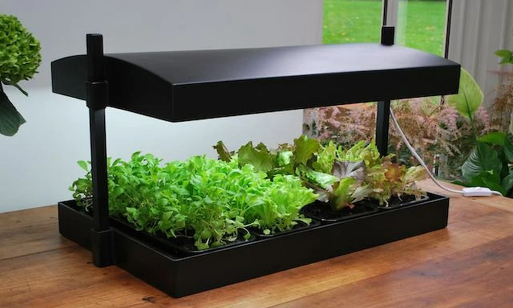 Grow Light Gardens for Indoor Growing