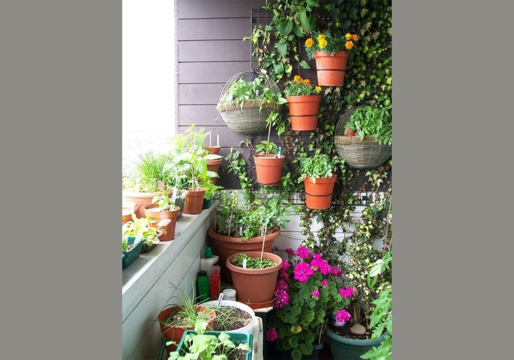 Hanging Basket Balcony Flower Pots Ideas for Decorative Layers