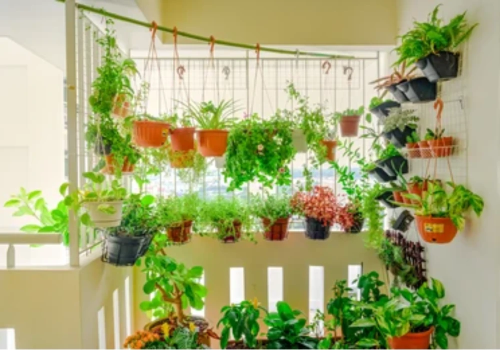 Hanging Basket Balcony Vegetable Garden Ideas