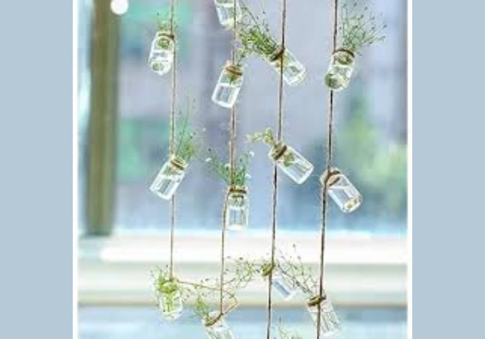 Hanging Glass Jar Planters for a Minimal Look