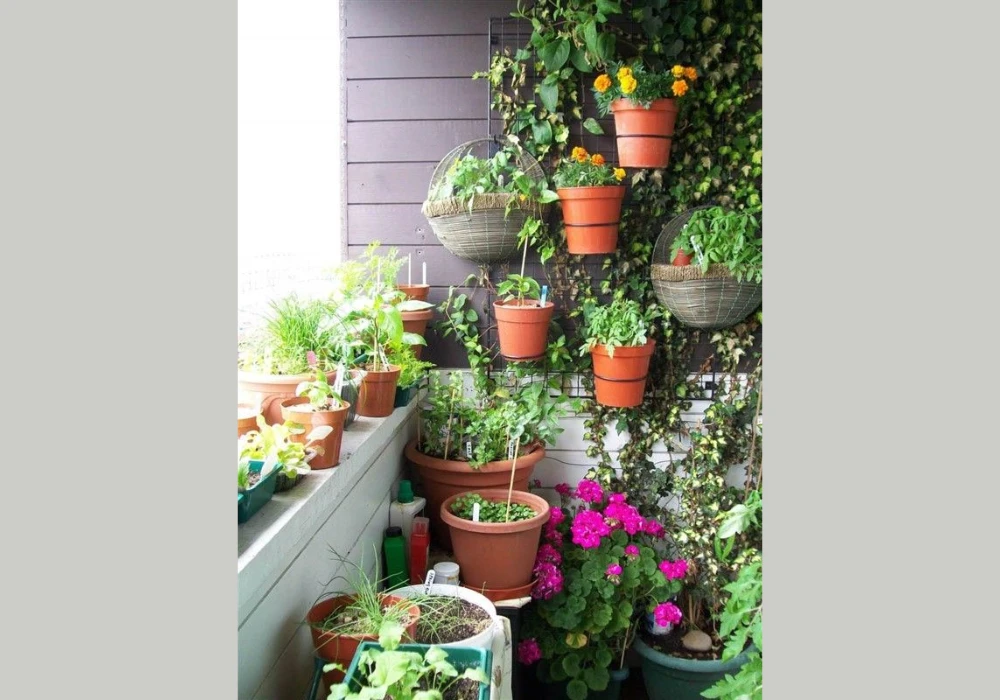 Hanging Pot Plant Wall