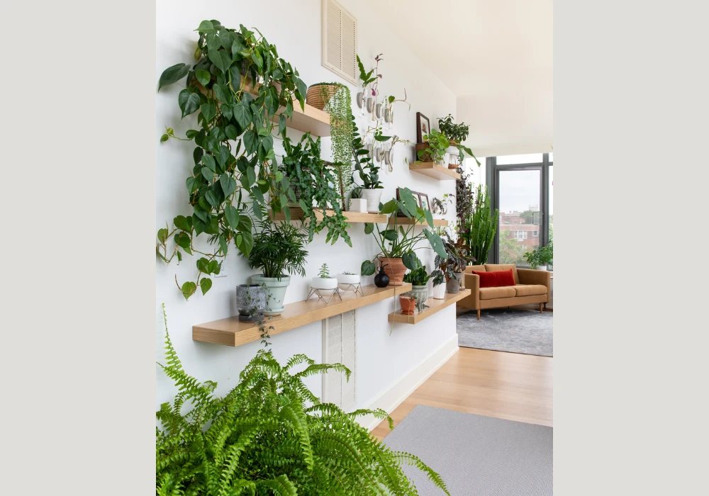 Hanging Trellis Ideas for Vertical Wall Decoration