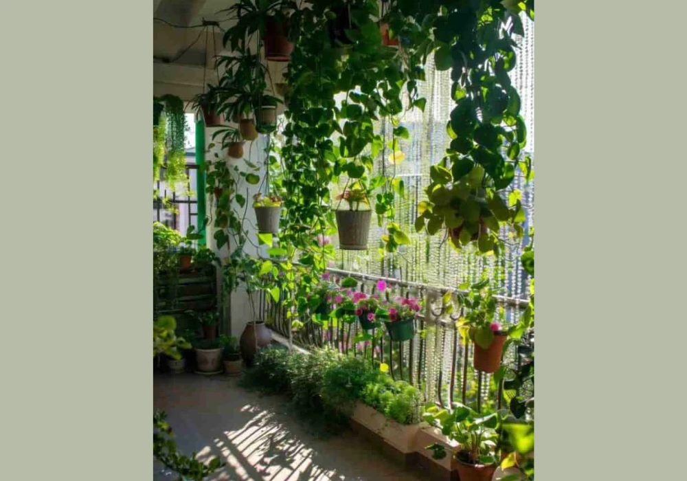 Hanging planters for balcony planting ideas