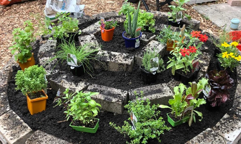 Herb Spiral Garden for Efficient Use of Space