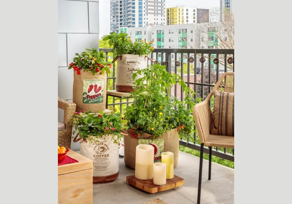 Herb garden balcony planting ideas