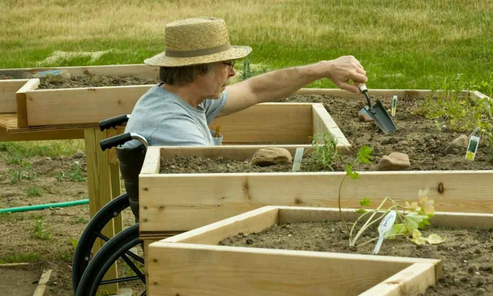 Raised Bed Gardening for Accessibility
