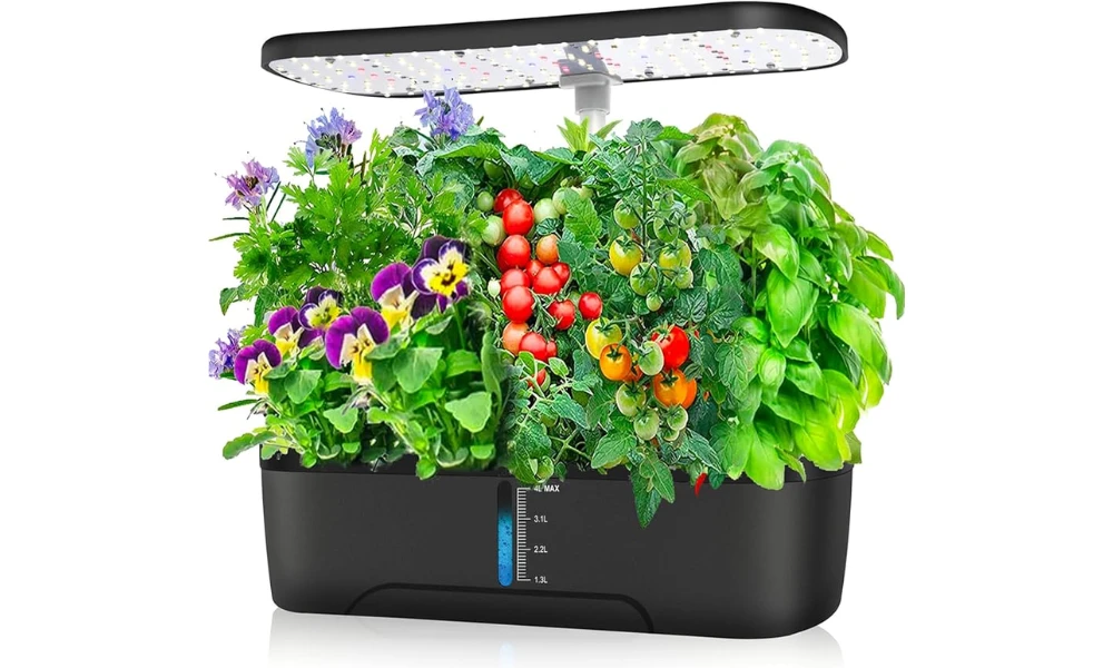 Hydroponic Herb Gardens for Speedy Growth