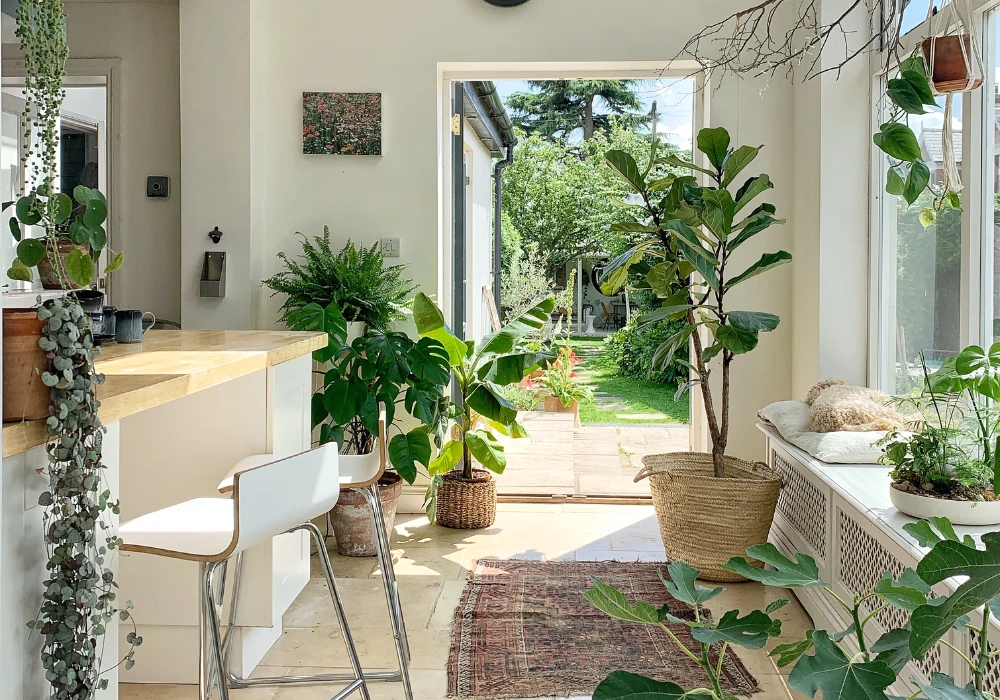 Indoor Plants Summer Home Decor Ideas for Natural Freshness