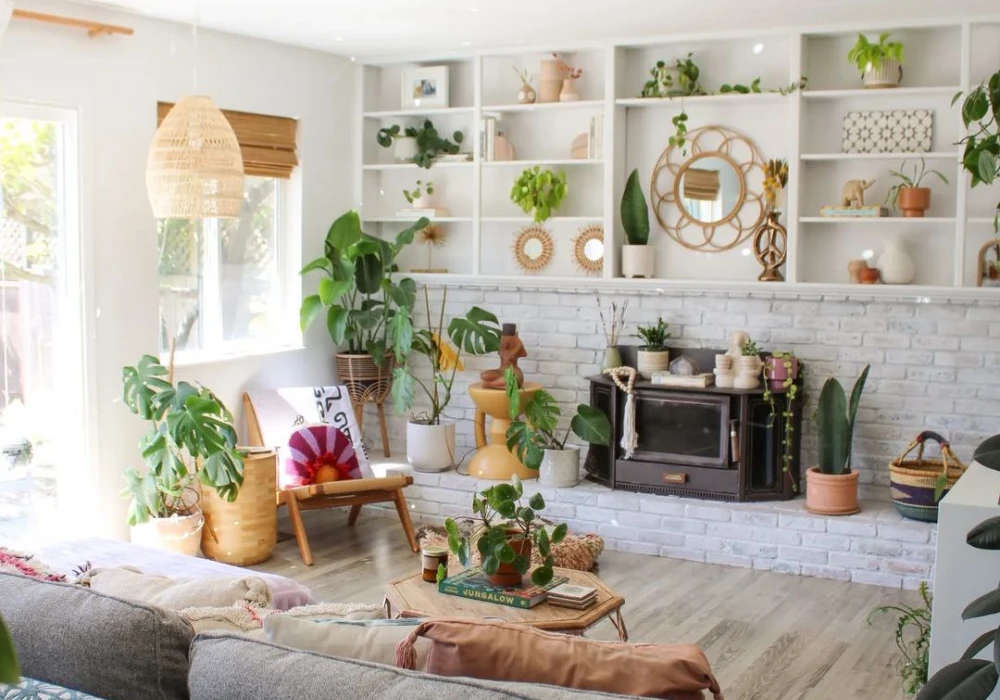 Indoor Plants for a Fresh and Relaxed Atmosphere