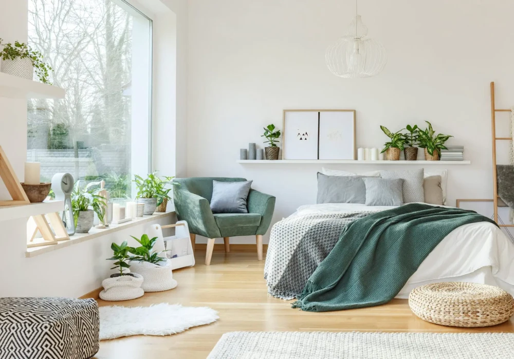 Indoor Plants for a Fresh and Relaxing Environment