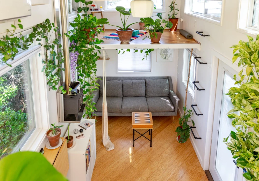 Indoor Trellis Plants Ideas for Small Living Spaces