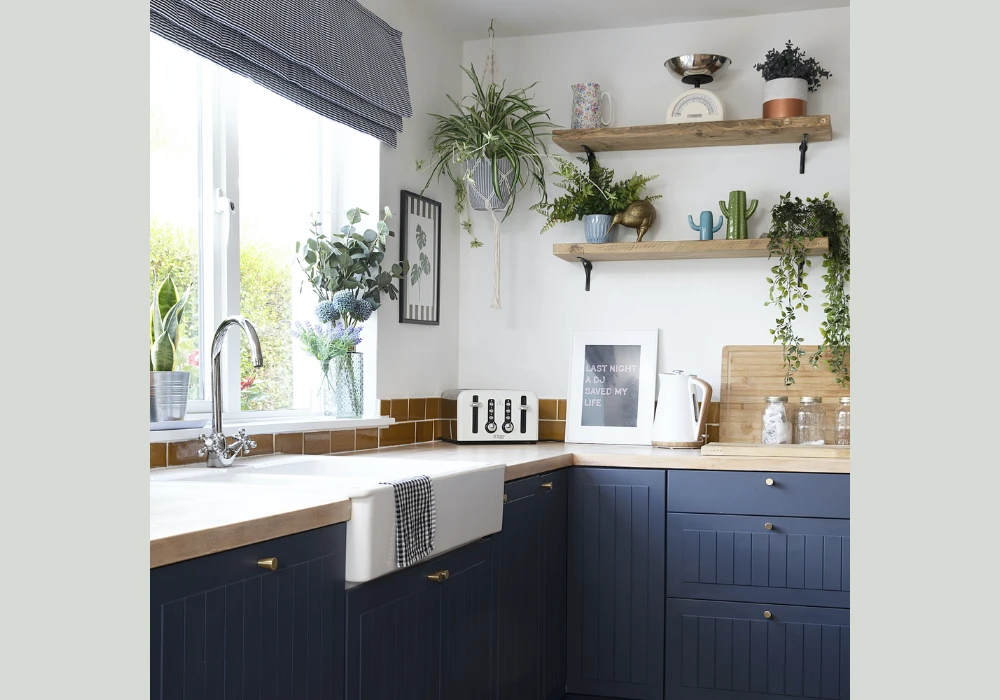 Introduce Indoor Plants for Freshness