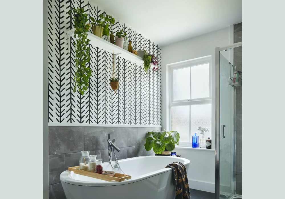 Introduce Indoor Plants