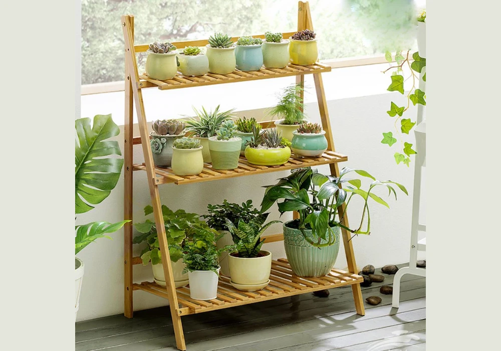 Ladder Shelf Plant Display for Small Balcony Gardens
