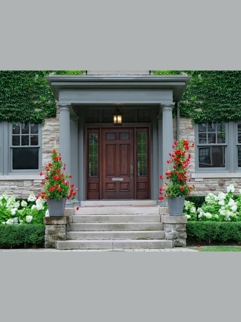Large Weatherproof Potted Plants For Front Entrances