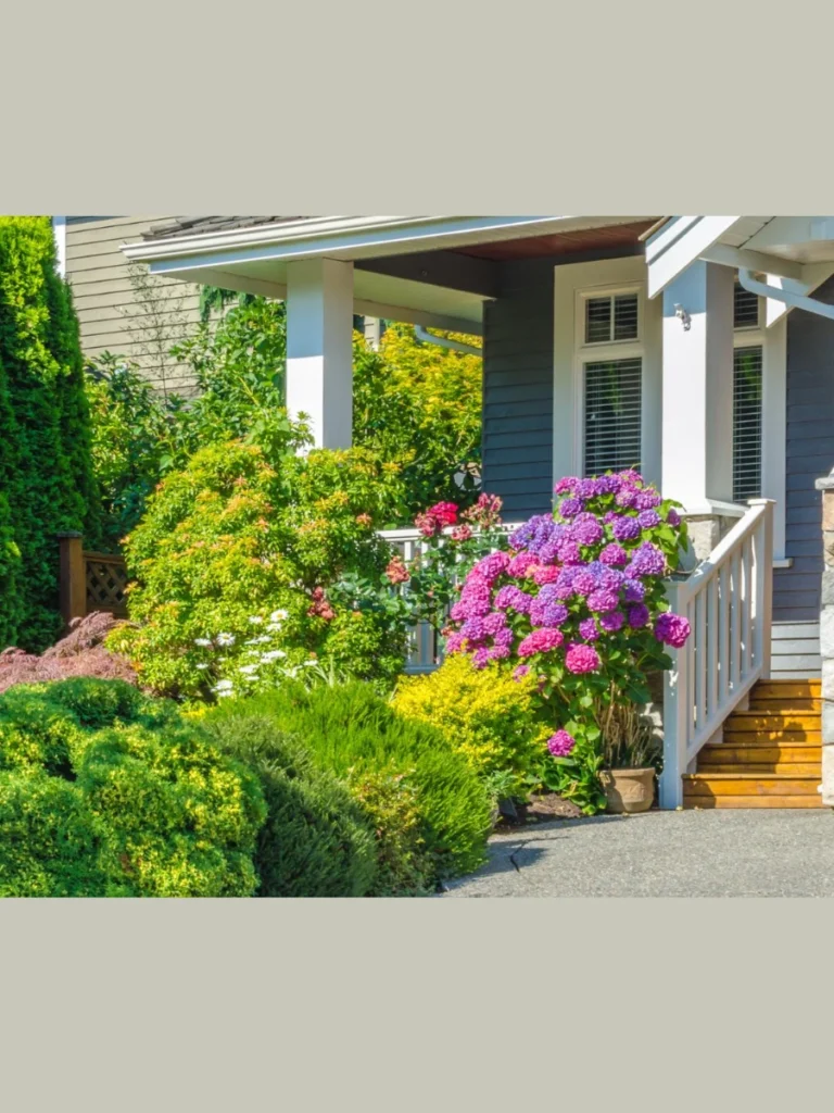 Layered Foundation Plantings