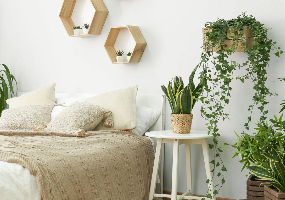 Lightweight Window Plants for Airy Green Corners