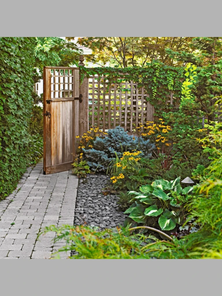 Low-Maintenance Greenery For Year-Round Color
