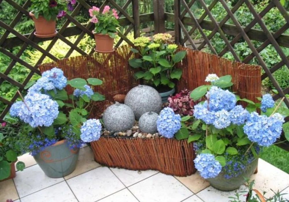 Low-Maintenance Plants for Easy Balcony Care