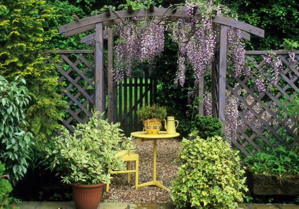 Low-Maintenance Trellis Plants Ideas for Easy Gardening