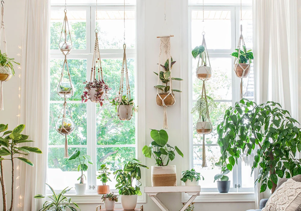 Macrame Plant Hangers for a Soft Decorative Touch