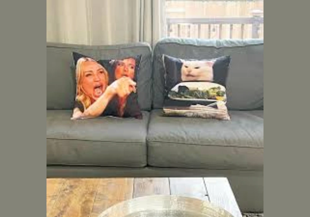 Meme-Based Funny Throw Pillow Ideas for Modern Homes