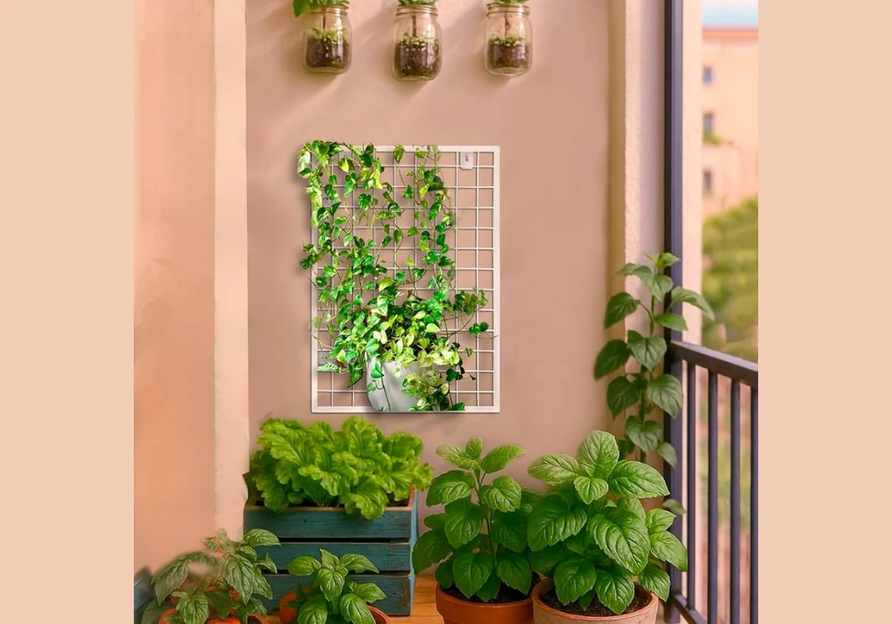 Metal Grid Plant Wall