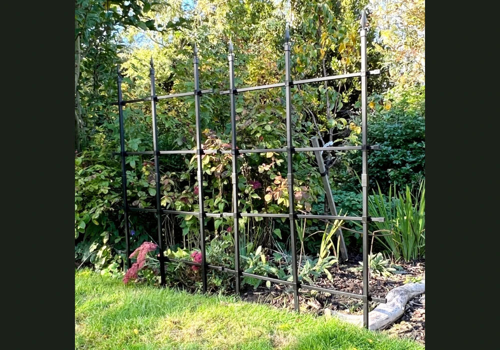 Metal Trellis Fence Ideas for Strong and Modern Outdoor Spaces