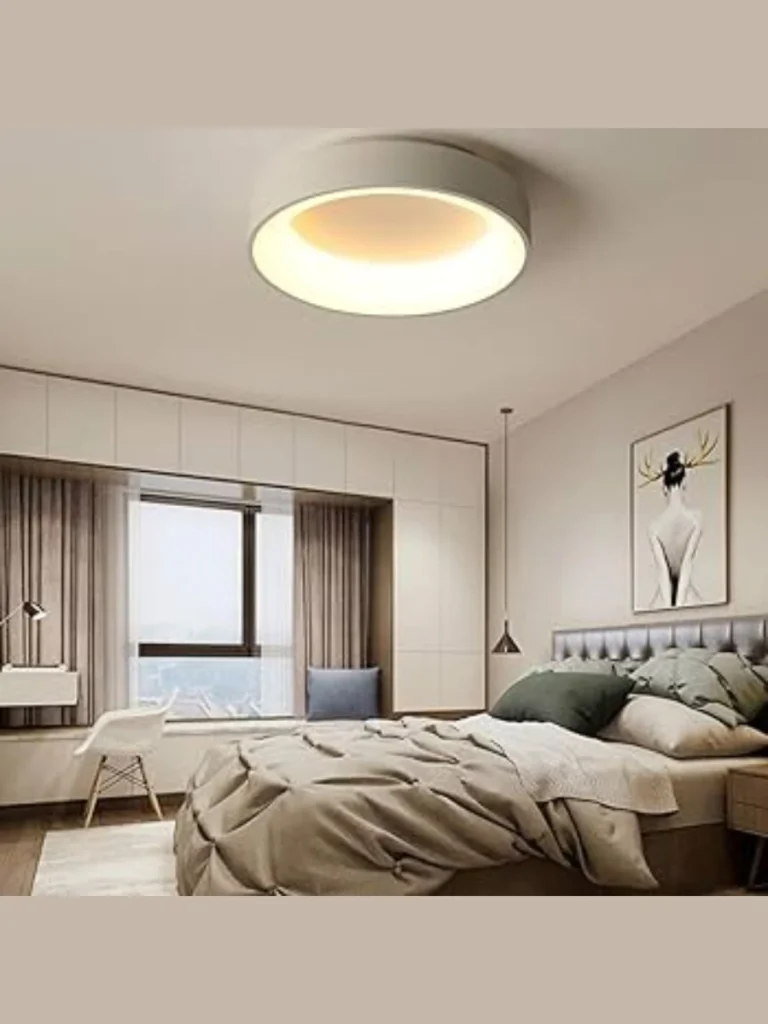 Minimalist Flush Mount Disks