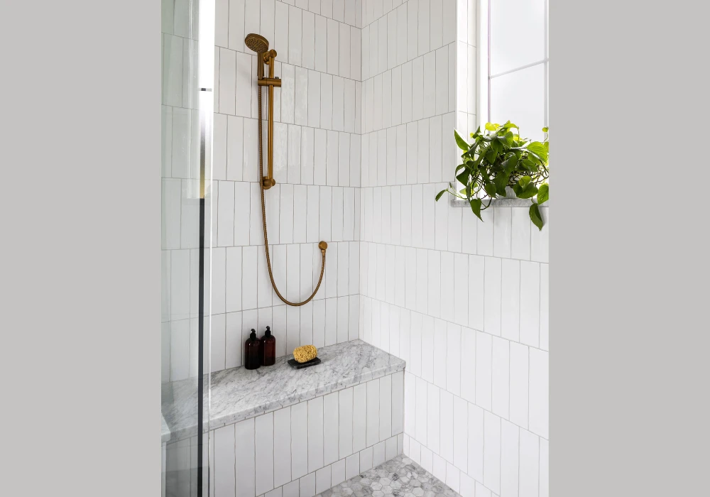 Minimalist Shower Design with Clean Lines