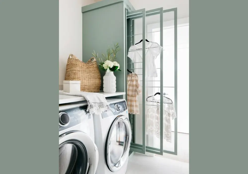Modern Minimalist Garage Laundry
