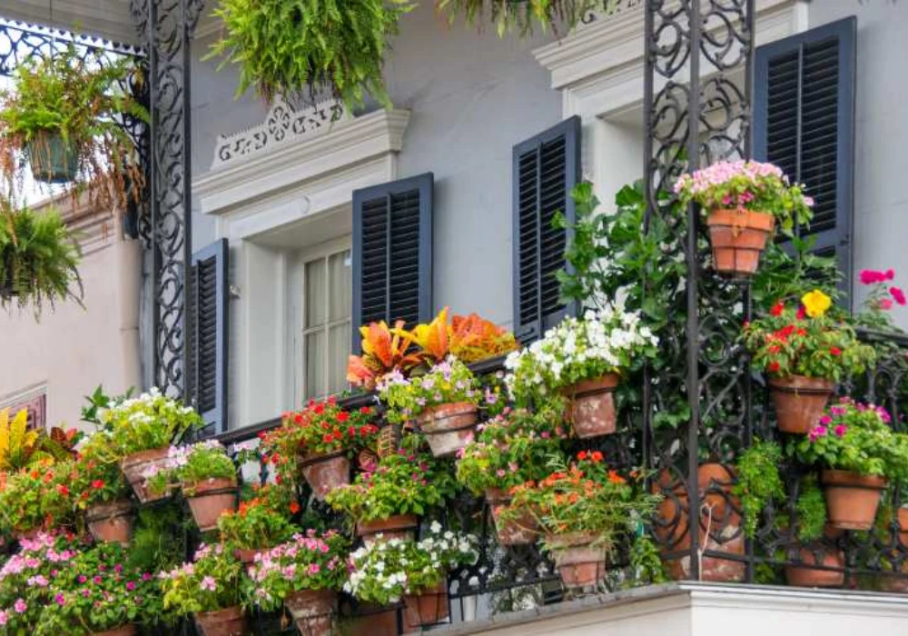 Multi-Layer Plant Arrangement for Dense Green Look