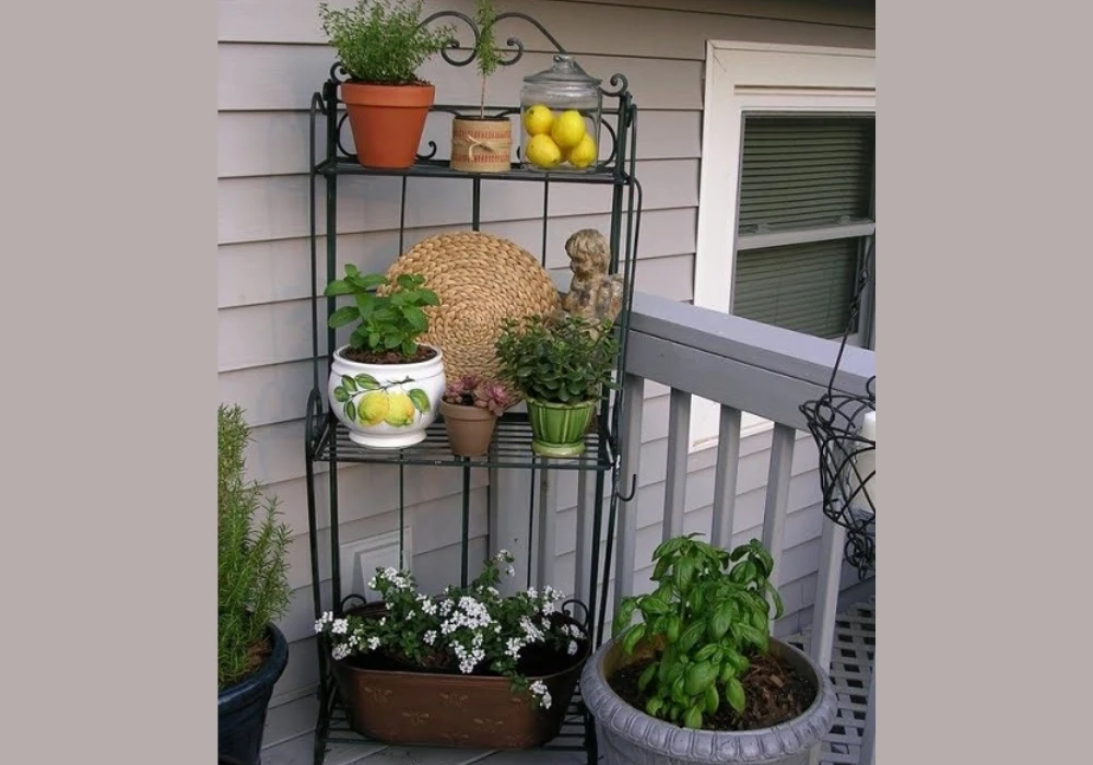 Multi-Tier Balcony Plant Stand Ideas for Maximum Plants