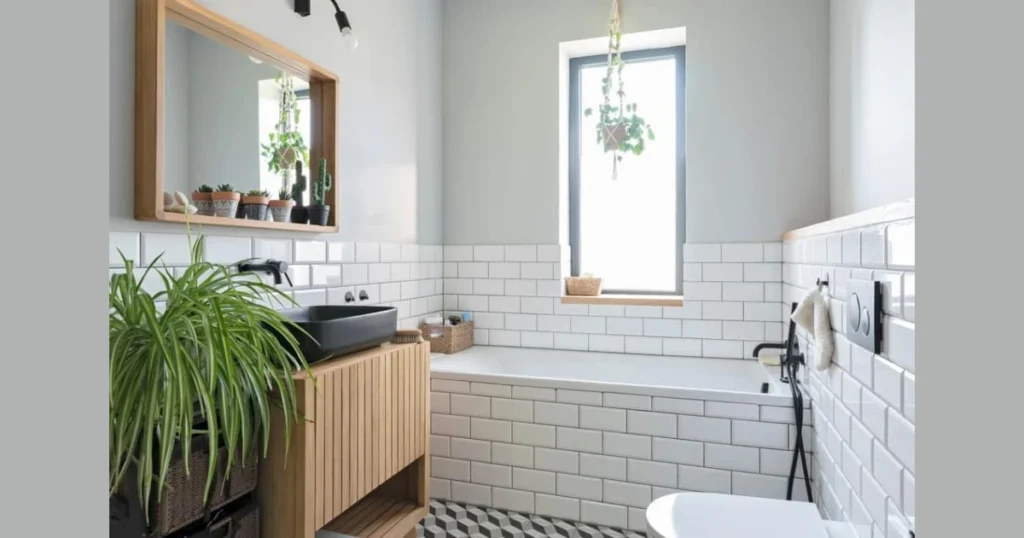 ZZ Plant for Dark Bathroom Corners