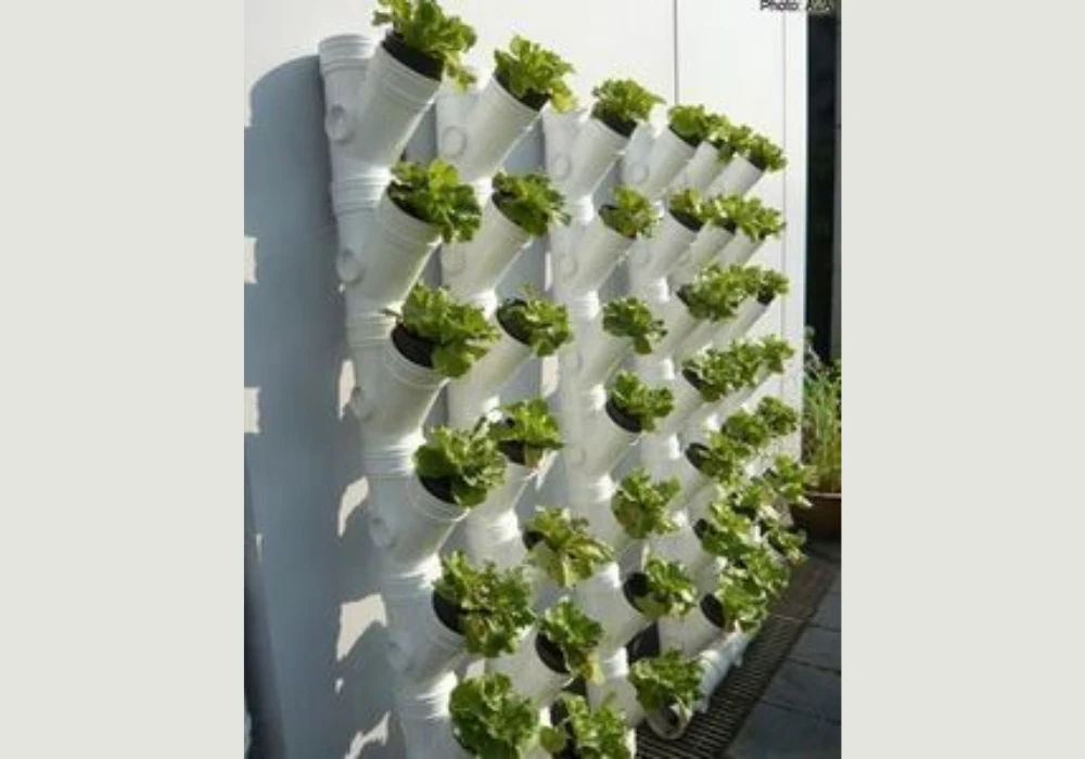 PVC Pipe Plant Wall